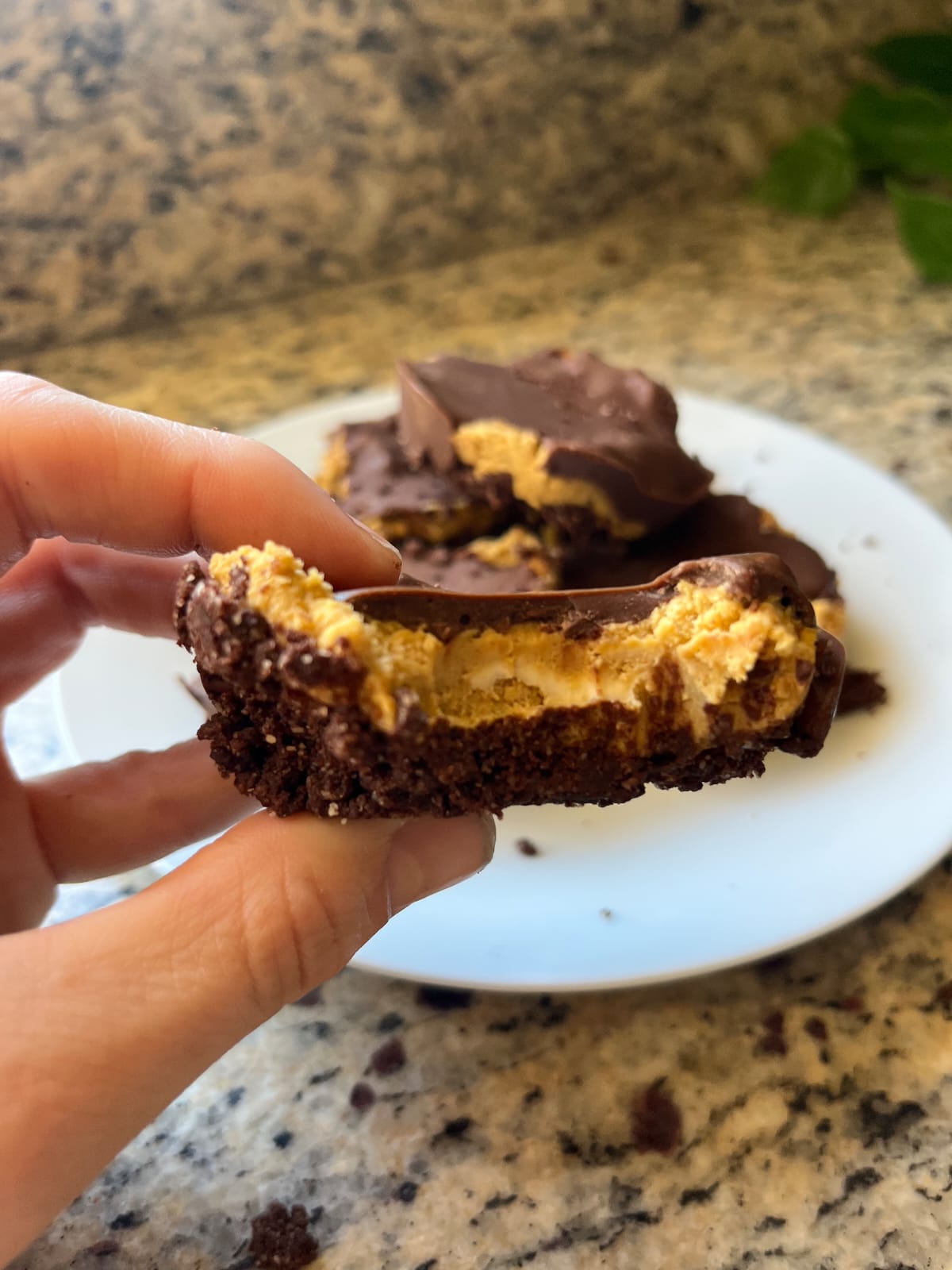 Mini Pumpkin Chocolate Cheesecakes